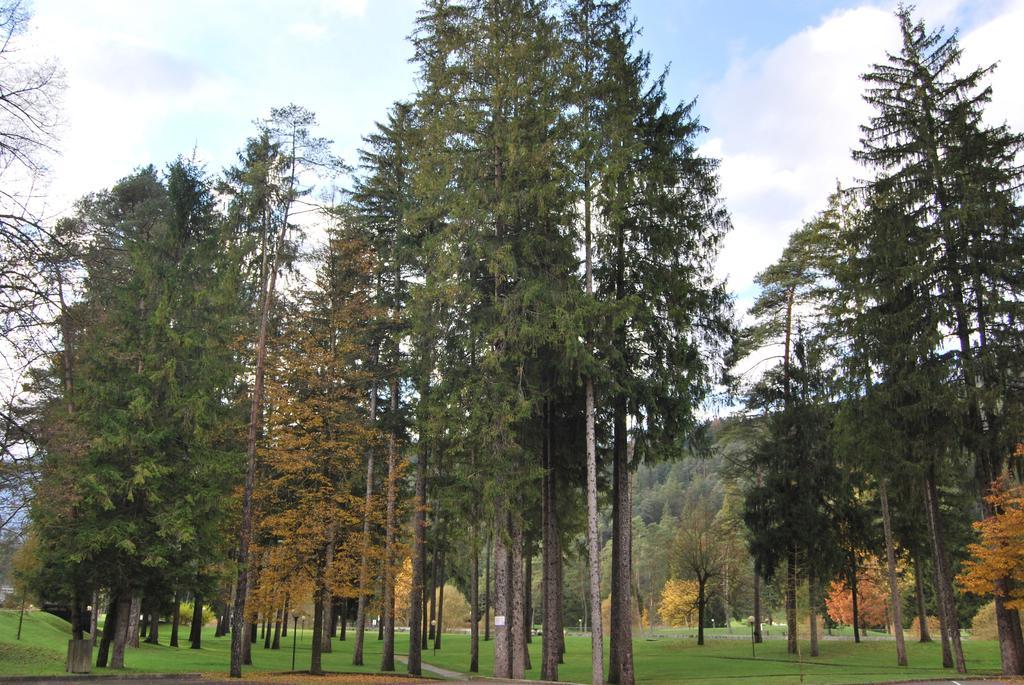 コマーノ・テルメResidenza Finestra Sul Parcoアパートメント エクステリア 写真
